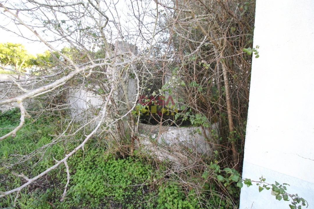 Moradia T3 para Venda em Olaia e Paço Foto 16