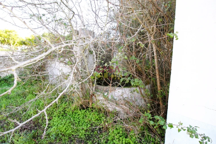 Moradia T3 para Venda em Olaia e Paço Foto 24