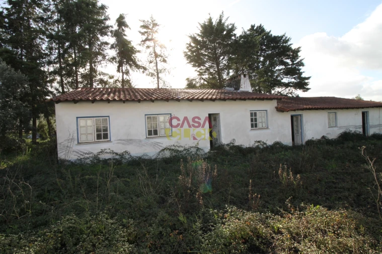 Moradia T3 para Venda em Olaia e Paço Foto 10