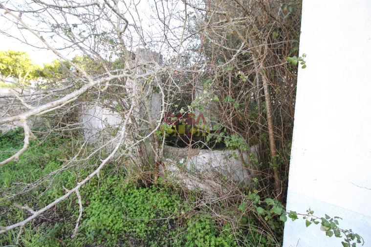 Moradia T3 para Venda em Olaia e Paço Foto 16