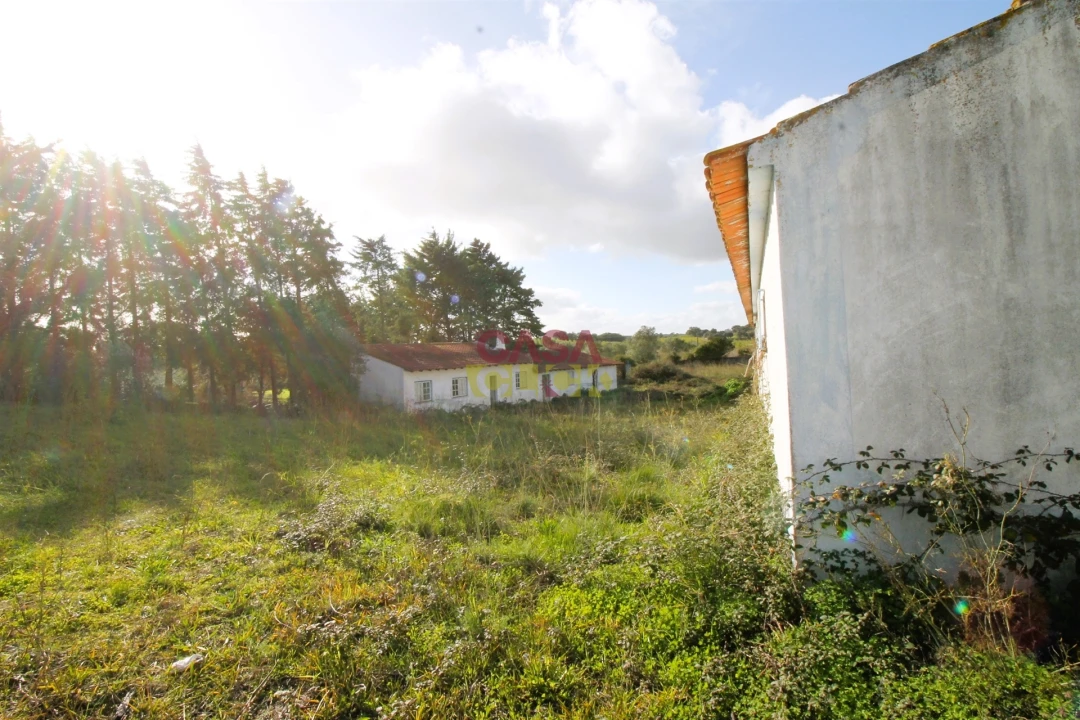 Moradia T3 para Venda em Olaia e Paço Foto 14