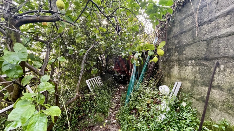 Moradia T6 para Venda em Vieira do Minho Foto 45