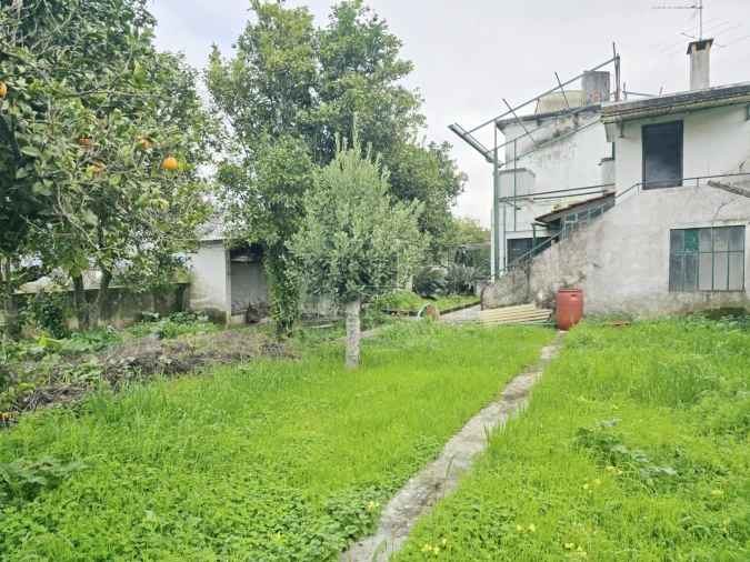 Moradia T4 para Venda em Torres Novas (Santa Maria, Salvador e Santiago) Foto 49