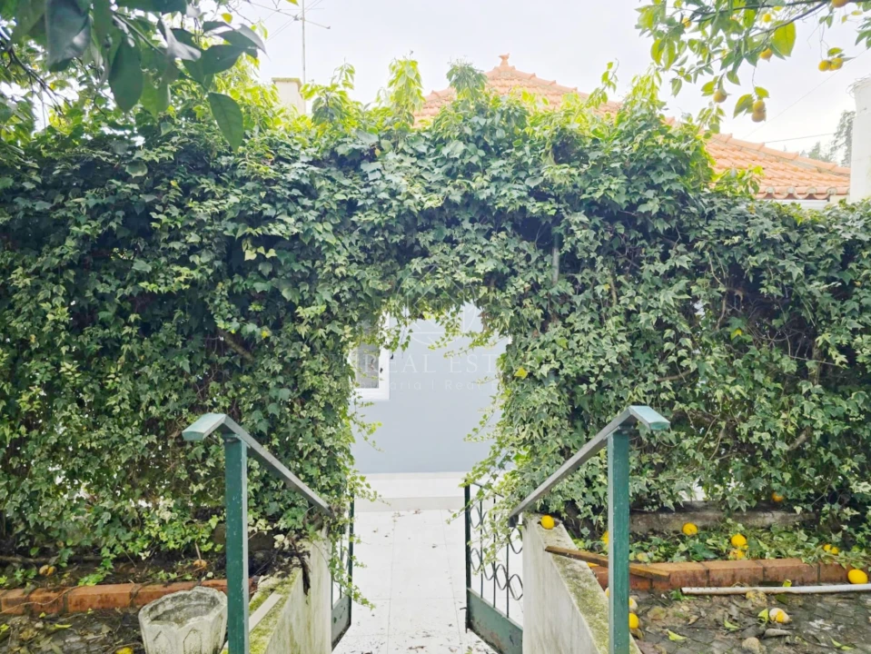 Moradia T4 para Venda em Torres Novas (Santa Maria, Salvador e Santiago) Foto 41