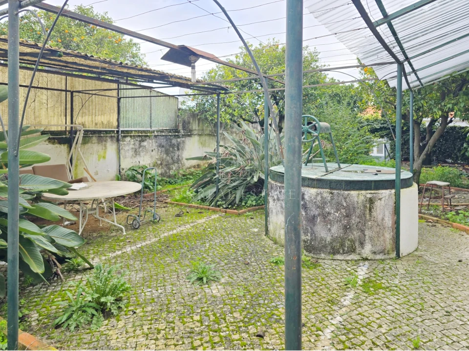 Moradia T4 para Venda em Torres Novas (Santa Maria, Salvador e Santiago) Foto 45