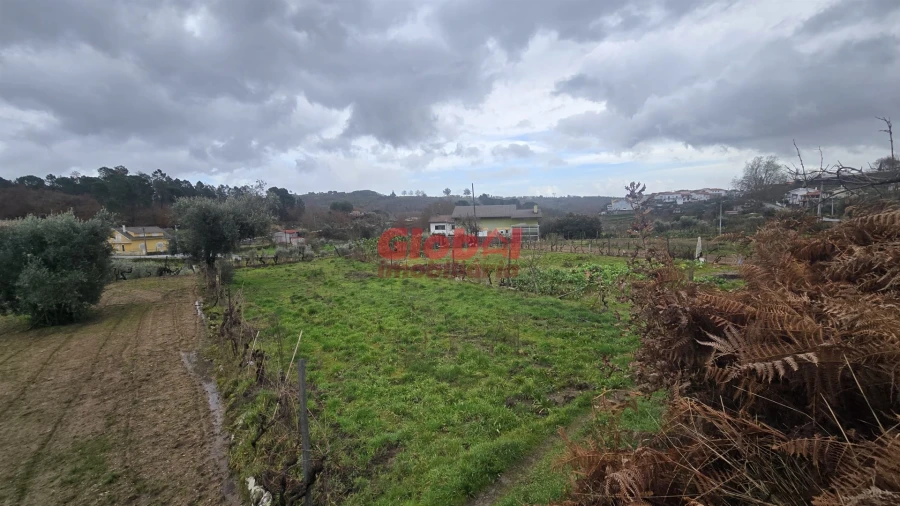 Terreno Agricola ou Rústico para Venda em Santos Evos Foto 1