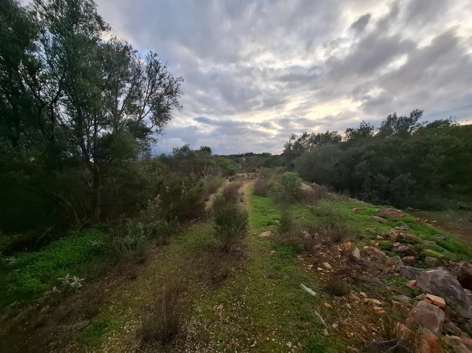 Terreno para Venda em Almancil Foto 11