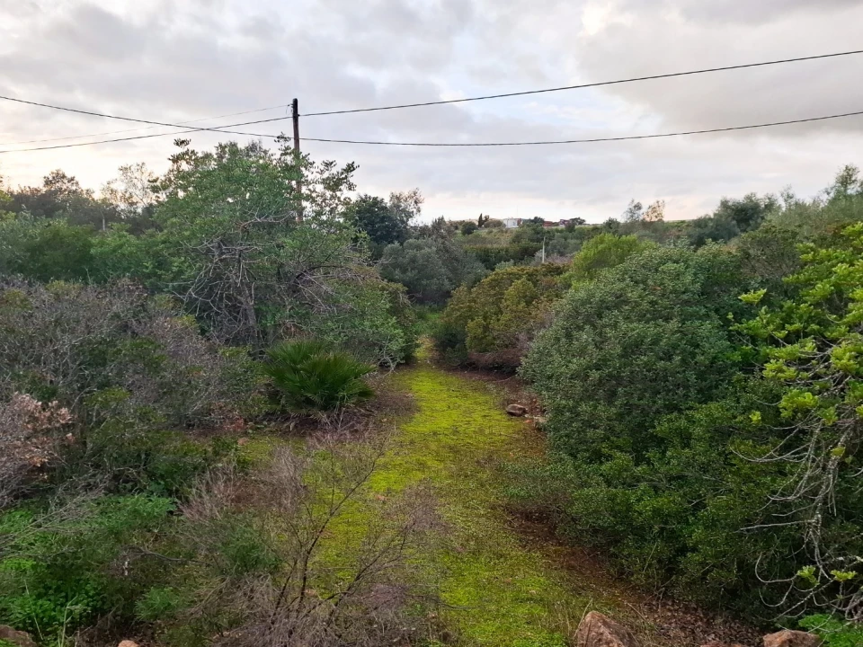 Terreno para Venda em Almancil Foto 27