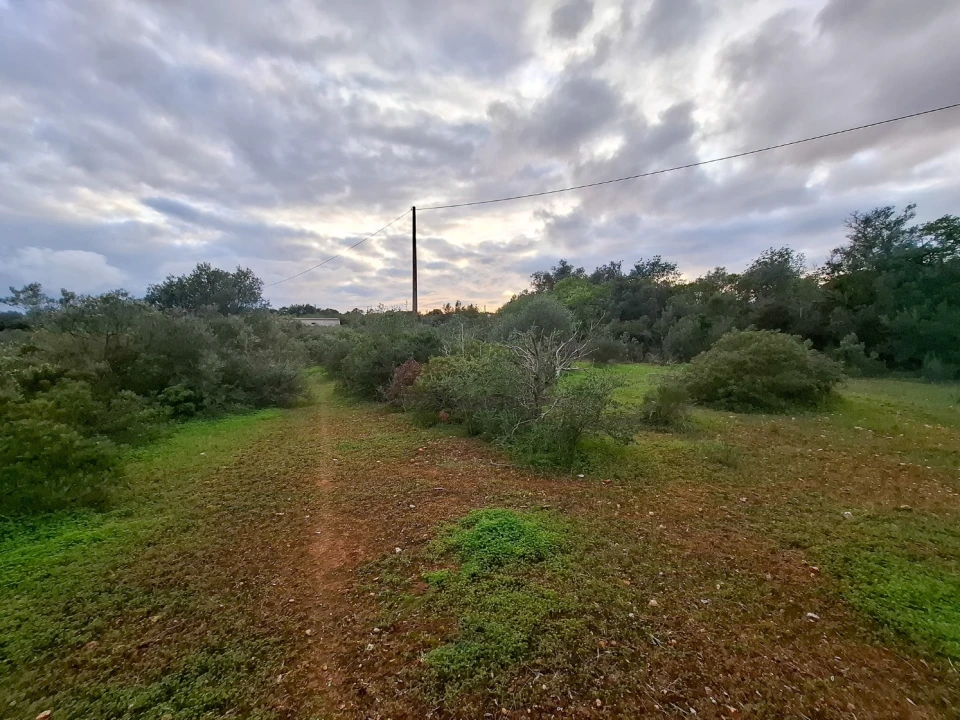 Terreno para Venda em Almancil Foto 16