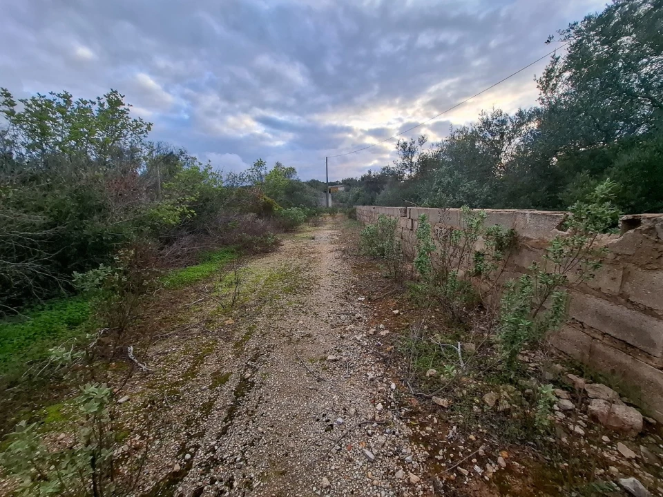 Terreno para Venda em Almancil Foto 18