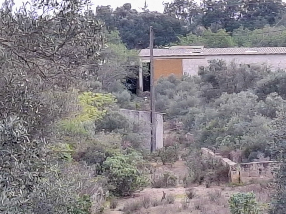 Terreno para Venda em Almancil Foto 9