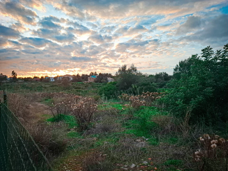 Terreno para Venda em Almancil Foto 32