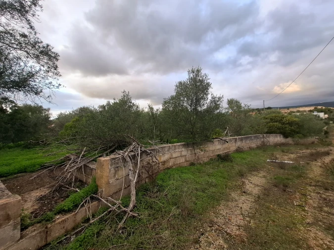 Terreno para Venda em Almancil Foto 22