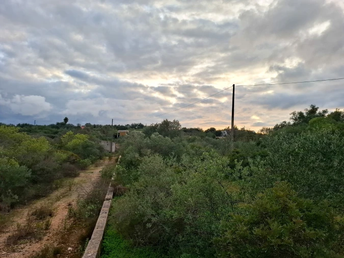 Terreno para Venda em Almancil Foto 13