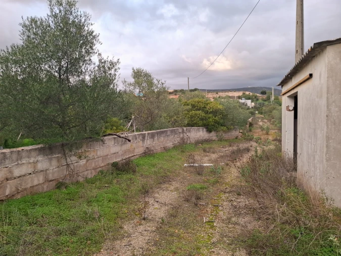 Terreno para Venda em Almancil Foto 23