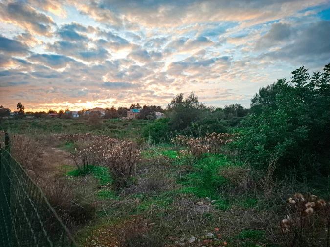 Terreno para Venda em Almancil Foto 32