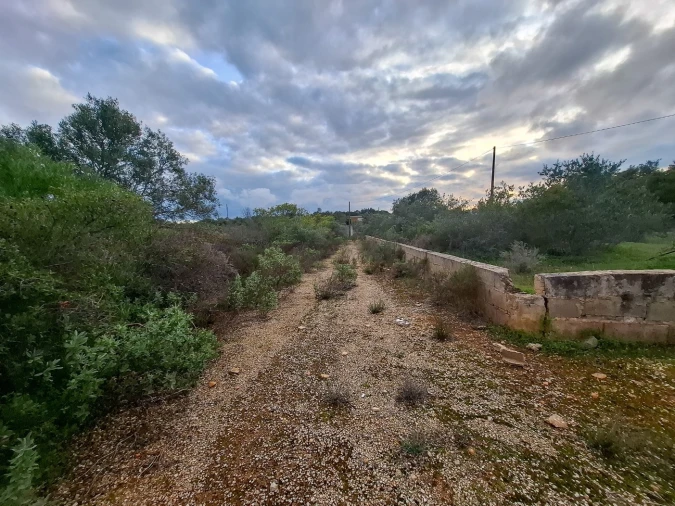 Terreno para Venda em Almancil Foto 12