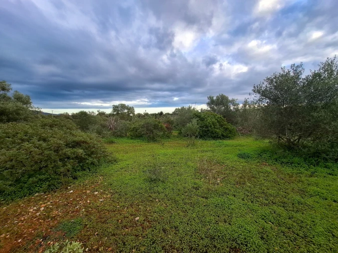 Terreno para Venda em Almancil Foto 5