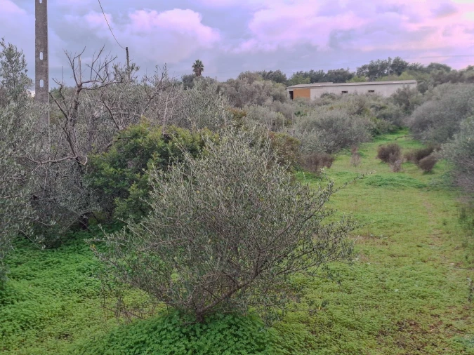 Terreno para Venda em Almancil Foto 17