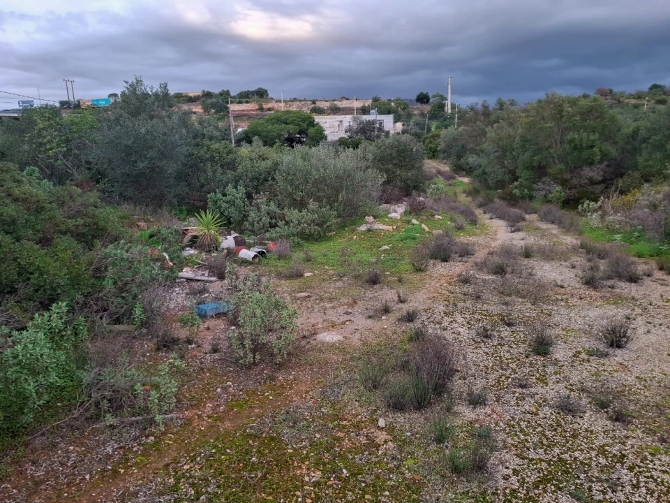 Terreno para Venda em Almancil Foto 14
