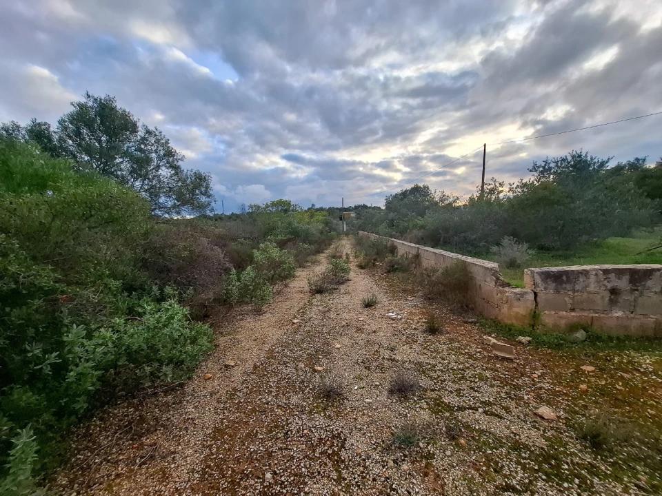 Terreno para Venda em Almancil Foto 12