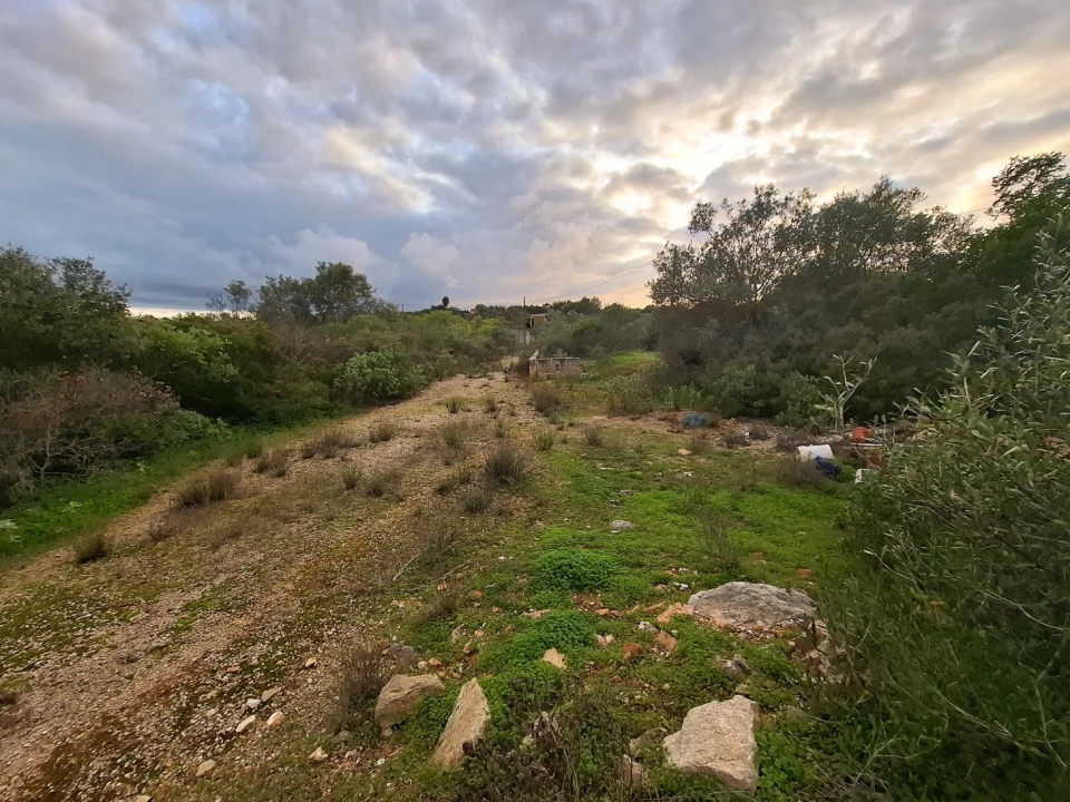 Terreno para Venda em Almancil Foto 26