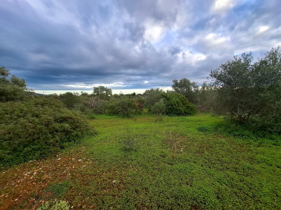 Terreno para Venda em Almancil Foto 5