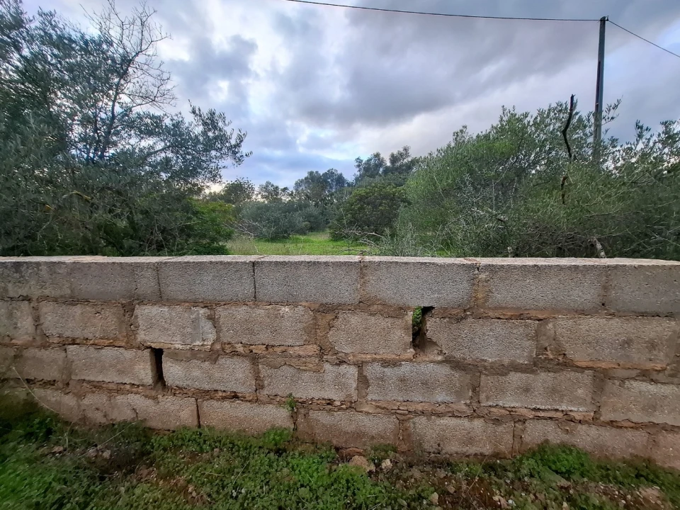 Terreno para Venda em Almancil Foto 19