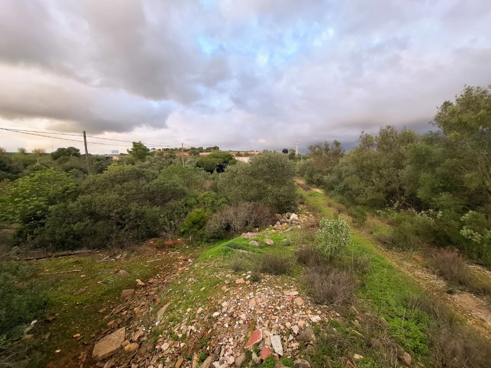 Terreno para Venda em Almancil Foto 25