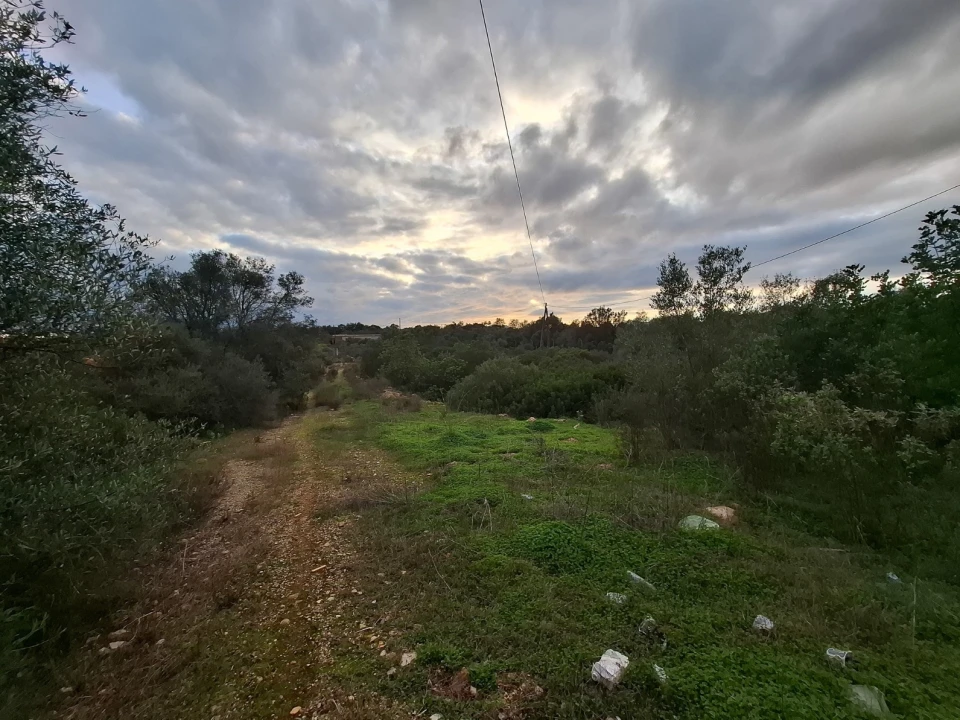 Terreno para Venda em Almancil Foto 10