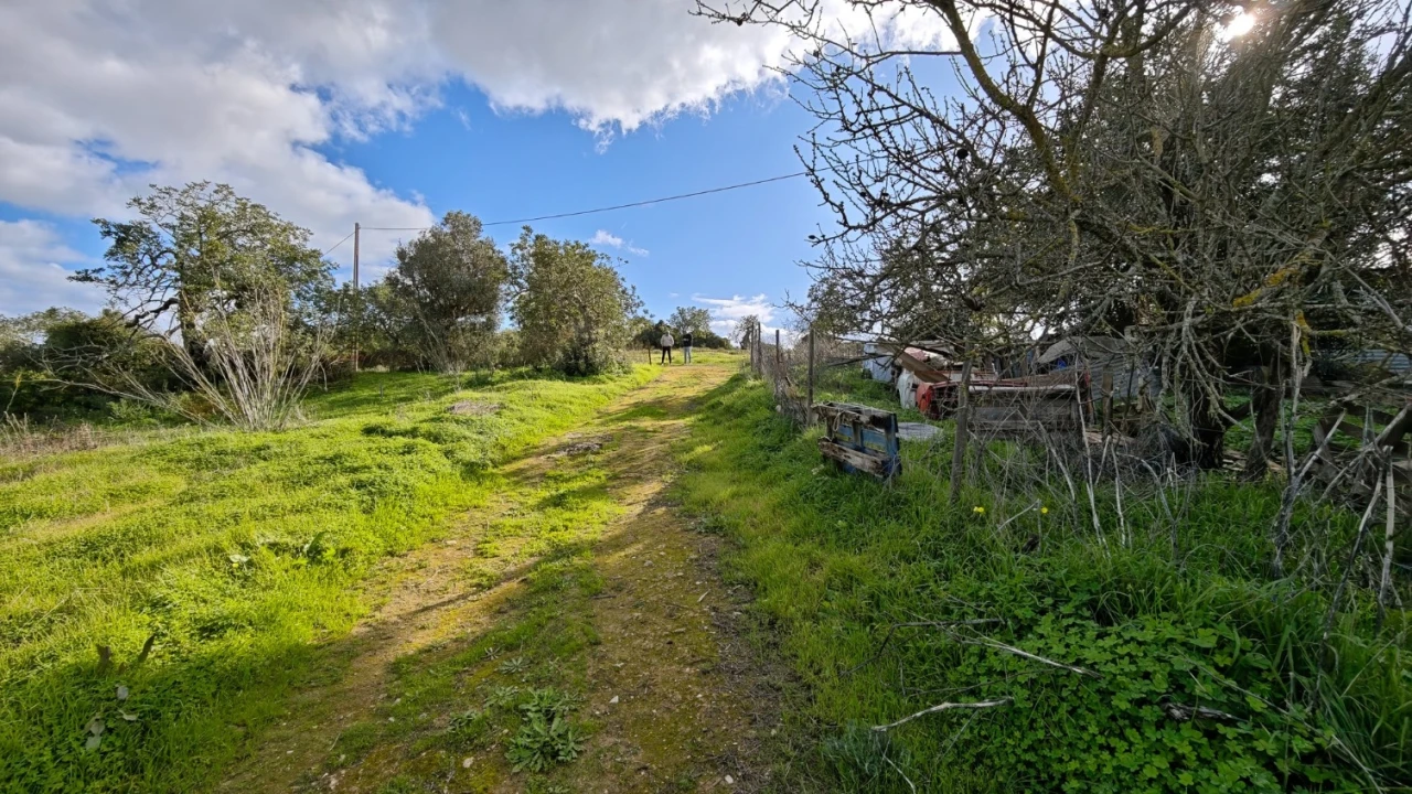 Terreno para Venda em Guia Foto 12