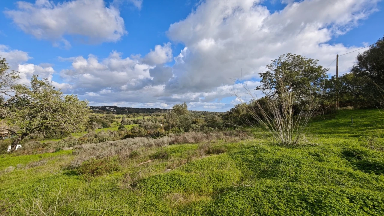 Terreno para Venda em Guia Foto 14