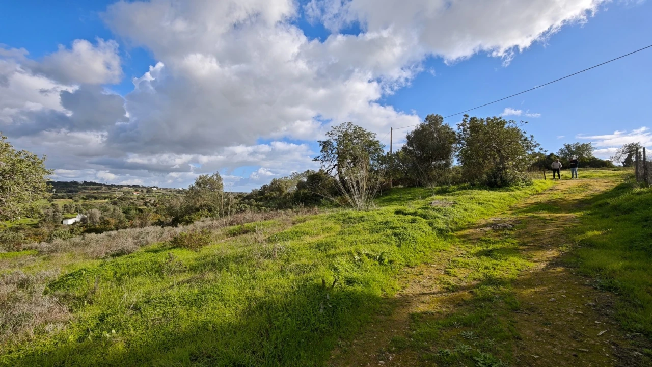 Terreno para Venda em Guia Foto 11
