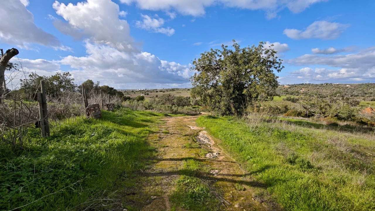 Terreno para Venda em Guia Foto 13