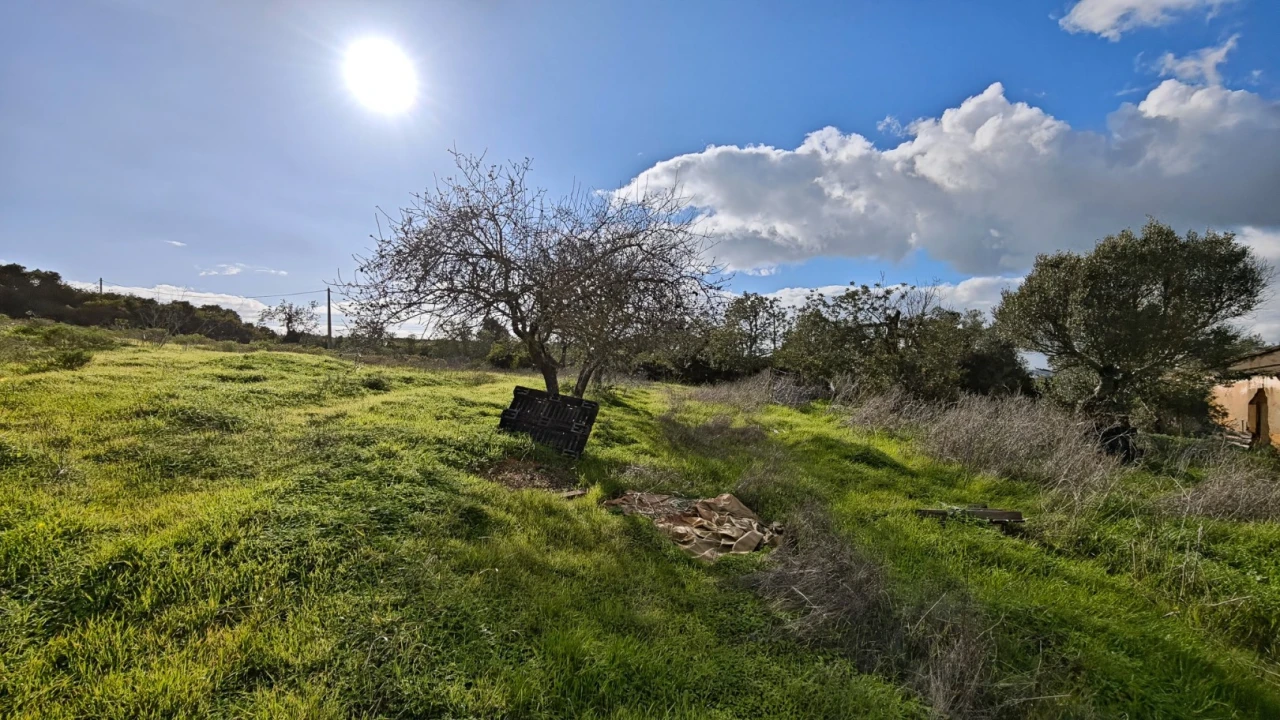 Terreno para Venda em Guia Foto 5