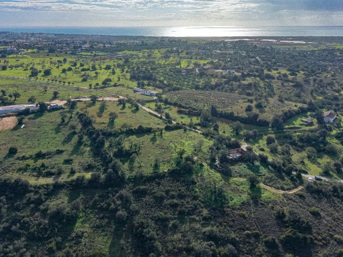 Terreno para Venda em Guia Foto 19