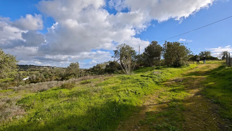 Terreno para Venda em Guia Foto 11