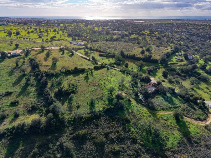 Terreno para Venda em Guia Foto 23