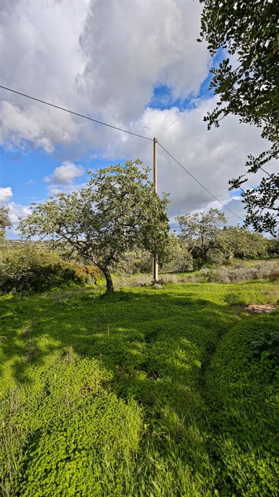 Terreno para Venda em Guia Foto 6