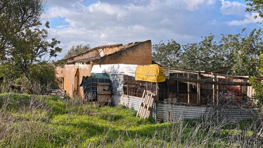 Terreno para Venda em Guia Foto 8