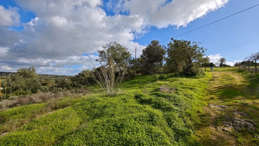 Terreno para Venda em Guia Foto 15