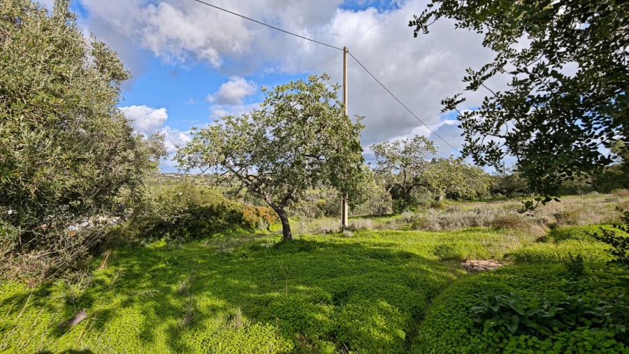 Terreno para Venda em Guia Foto 7