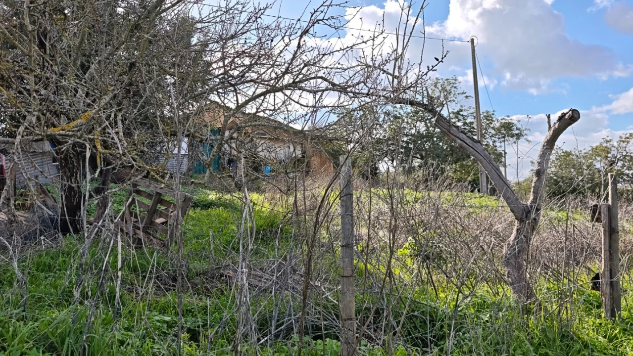 Terreno para Venda em Guia Foto 10
