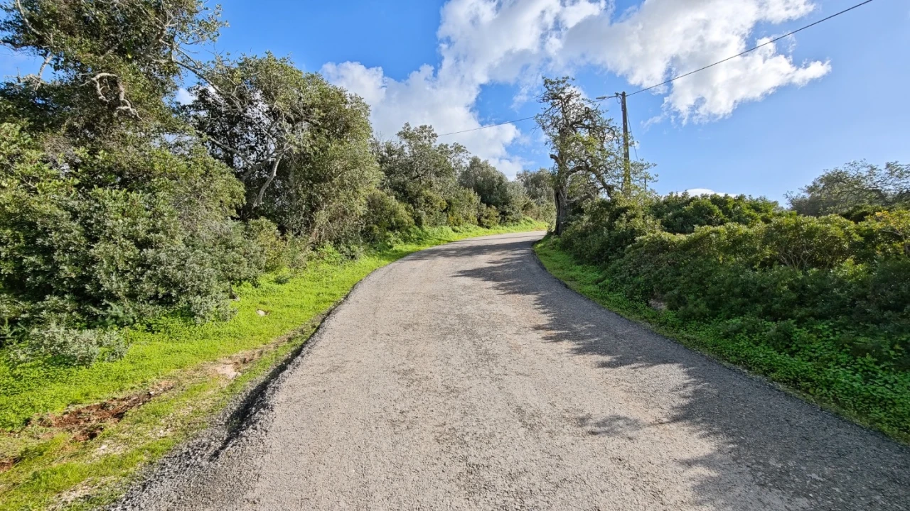 Terreno para Venda em Guia Foto 16