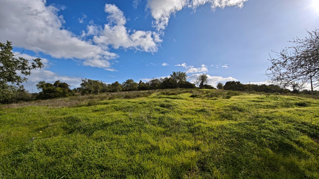 Terreno para Venda em Guia Foto 4