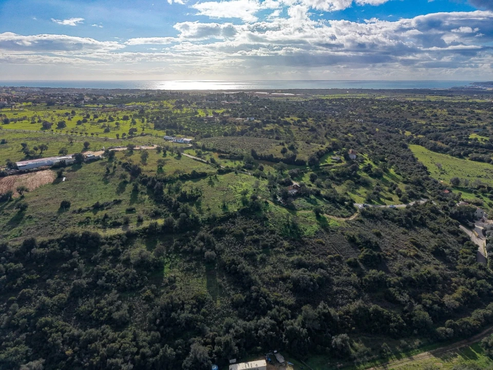 Terreno para Venda em Guia Foto 3