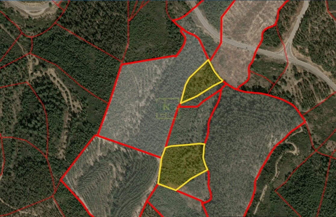 Terreno Agricola ou Rústico para Venda em Fratel Foto 29