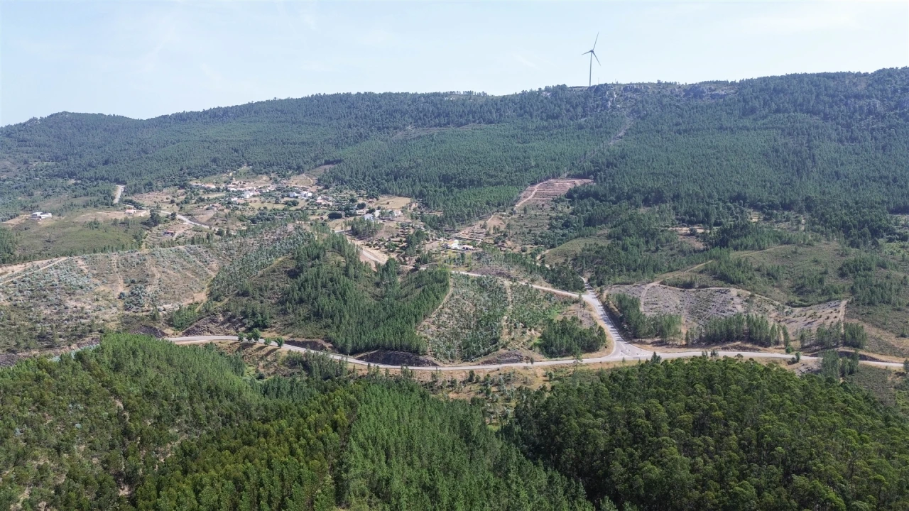 Terreno Agricola ou Rústico para Venda em Fratel Foto 6