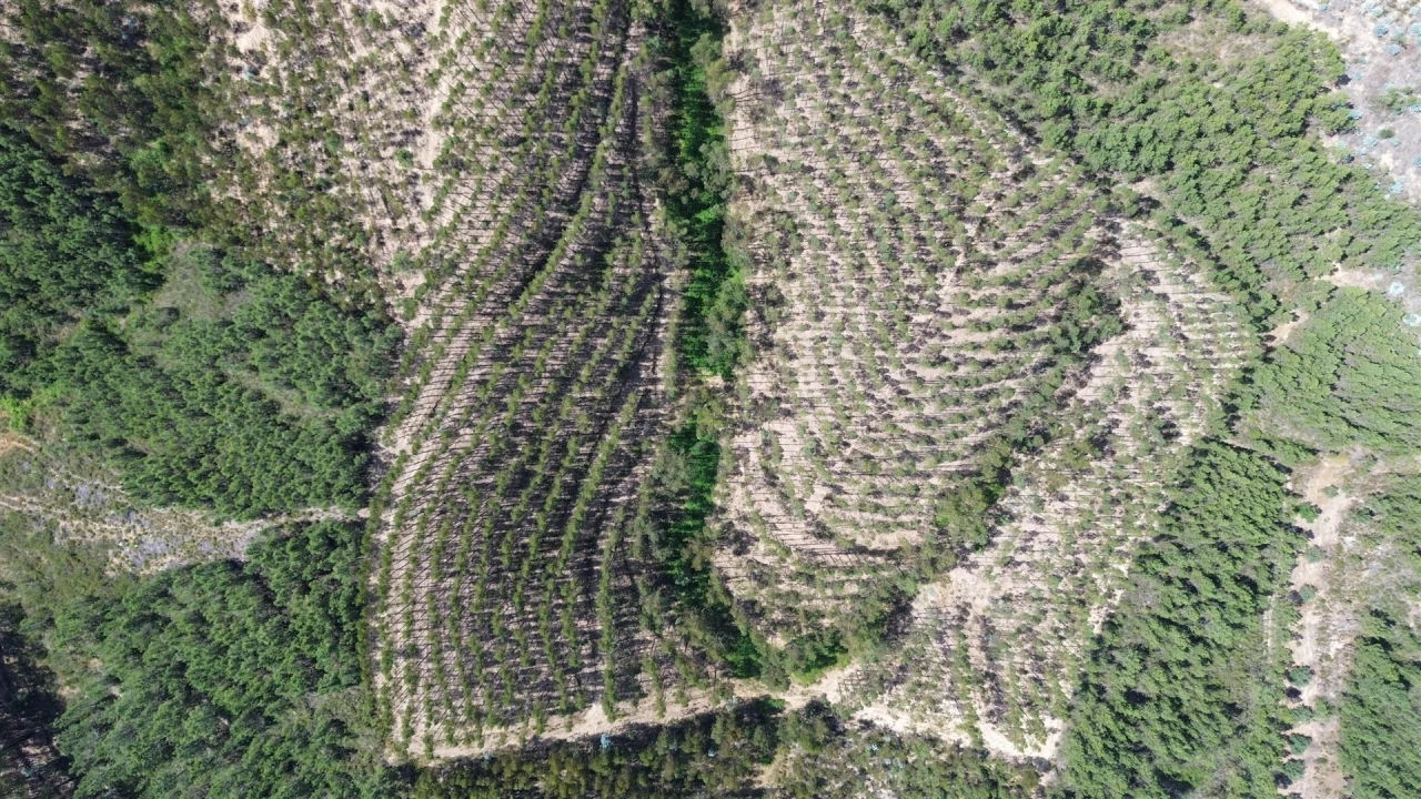 Terreno Agricola ou Rústico para Venda em Fratel Foto 11