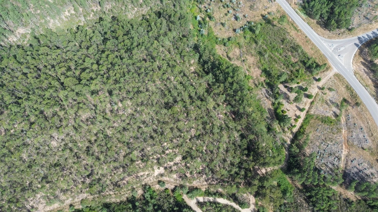 Terreno Agricola ou Rústico para Venda em Fratel Foto 3